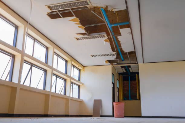 Best Flood damage cleanup  in Sturtevant, WI