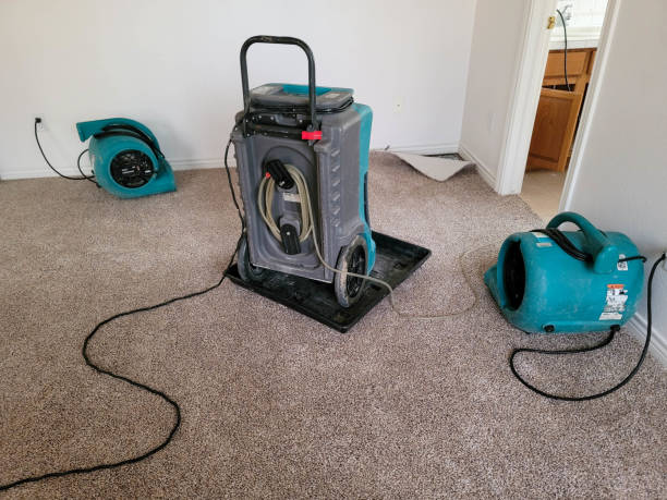 Best Water damage restoration near me  in Sturtevant, WI