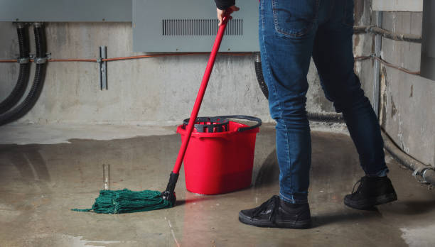 Best Flood restoration services  in Sturtevant, WI