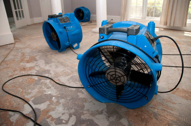 Best Mold removal after water damage  in Sturtevant, WI
