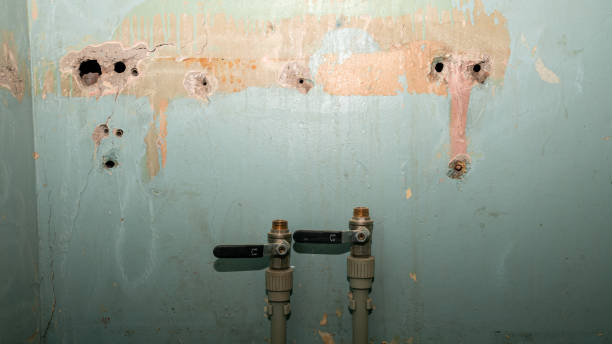 Best Fire Damage Restoration  in Sturtevant, WI